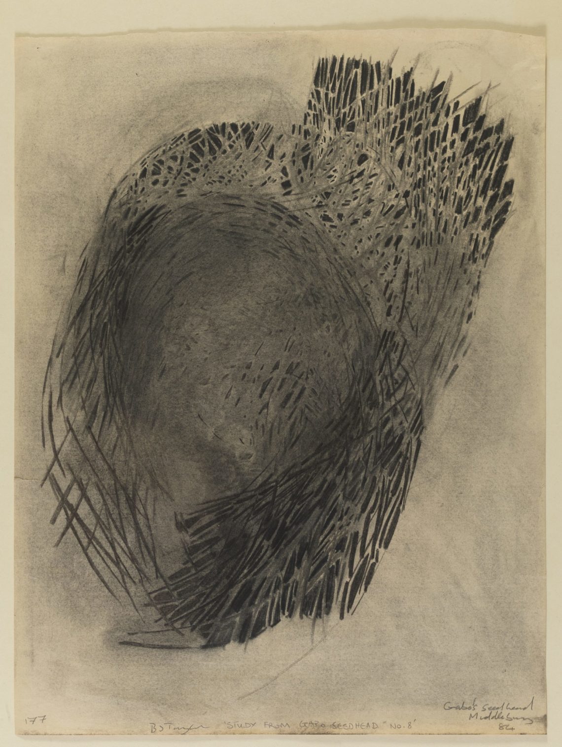 Brian_Taylor_Study_for_Naum_Gabo's_Seed_Head_8