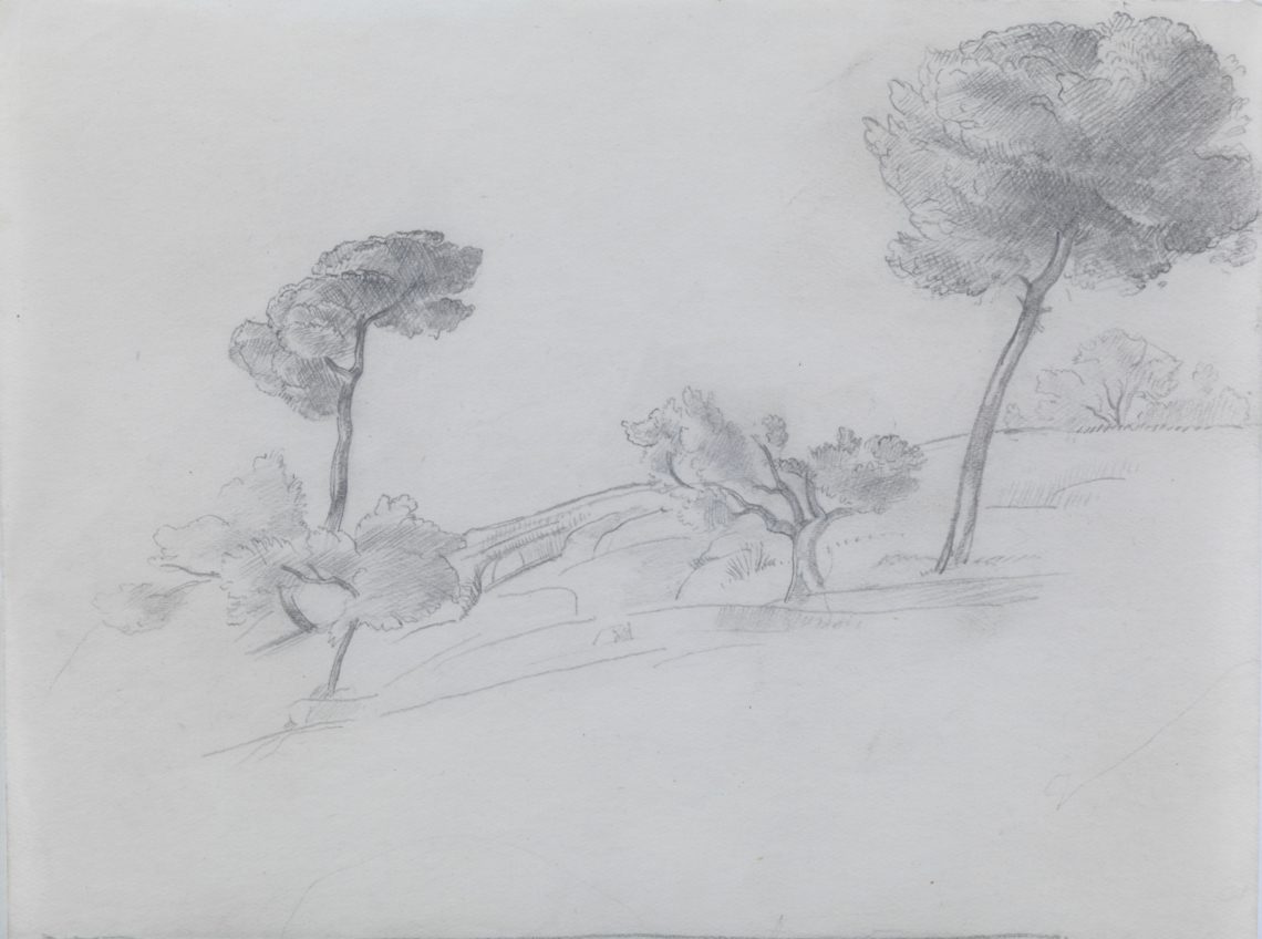 Henry_Lamb_Trees-on-hillside-Z6, 12 x 15.9 cm